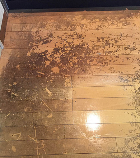 汚い床の写真